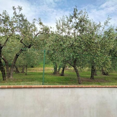 Lombardi Rita - Colle S. Martino Appartement Assisi Buitenkant foto